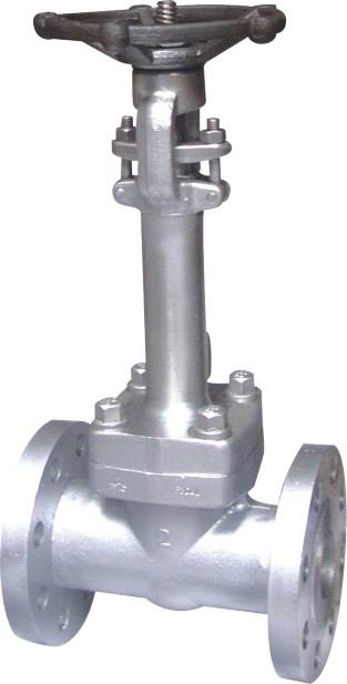 API Cast Steel Gate Valve