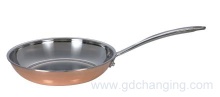 stainless steel frying pan