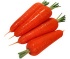 carrot