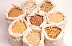 Wheat Barley Corn Flour Sugar Sunflower Oil Bran Cotton Yarn