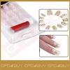 5x12pcs Acrylic Nails Tips False Art Charm +File