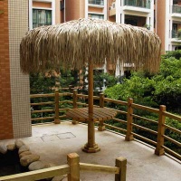 palmleaf thatch