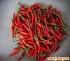 capsaicin (sales25 at lgberry dot com dot cn)