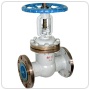 gate valve