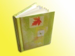 book self-adhesive album