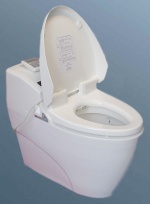 Bidet Toilet