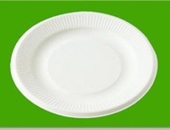 Disposable sugarcane pulp round plate