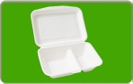 bagasse food container