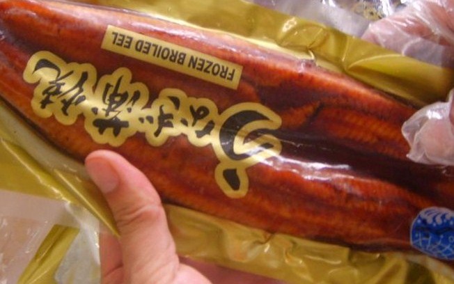 vacuum packed unagi kabayaki