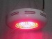 100w led grow light