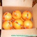 Honey Pomelo