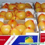 Pomelo Fruit