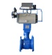 Pneumatic Eccentric Plug Rotary Ball Valve