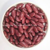 red kidney bean