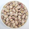 speckled kidney beans