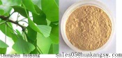 Ginkgo biloba P.E.