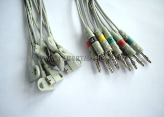 Philips 10 leads set