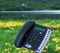 IP PHONE