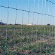 Grassland Fence