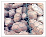 Gabions