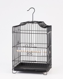 small bird cage