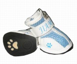 dog shoes