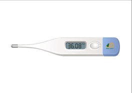 Digital thermometer