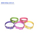 pet collar