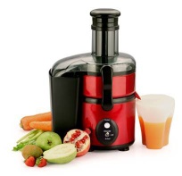 Powerful juicer