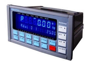 weighing controller