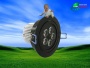 LED Downlight,LED Down Light,LED Ceiling Light,LED Spot Light,LED Recessed Down Light