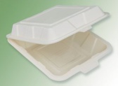 Biodegradable Tableware