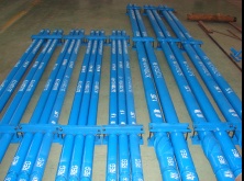 Downhole Motor