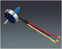 Brushless Motor