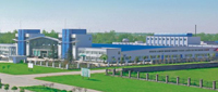 HuBei Kingphar Medical/Surgical Dressing CO.,LTD