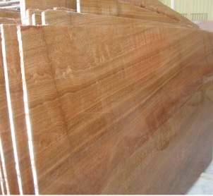 M218 yellow wood vein Marble