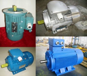 electric motor