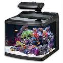 Oceanic BioCube HQI Aquarium