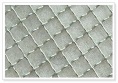 crimped wire mesh