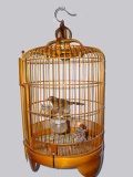 Bird cage