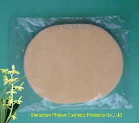 PVA Cleaning Sponge