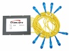 CWDM (Coarse Wavelength Division Multiplexer)