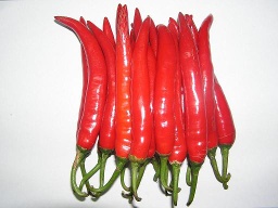 red hot chili