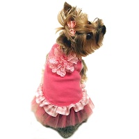 pet clothing