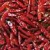 dried chilli