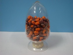 Red Yeast Rice Capsule