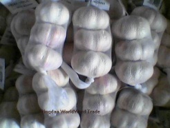 white garlic,