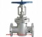 gate valve