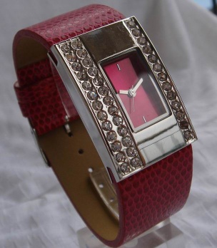 fashion lady tone to tone watch