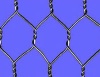 Hexagonal wire mesh